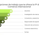 Opciones de trabajo en comercio internacional: aduanas, investigación de mercados, consultoría, exportaciones, comercio exterior, e-commerce y pymes.