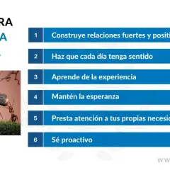 Hormigas trabajando juntas para cruzar un obstáculo, un ejemplo visual del resiliencia significado: superar desafíos con esfuerzo colectivo y determinación.