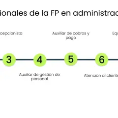 Salidas profesionales de un curso de administración y finanzas: auxiliar administrativo, recepcionista, auxiliar de cobros, equipo de finanzas, administrador comercial, gestión de personal, atención al cliente y auxiliar contable.
