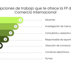 Opciones de trabajo en comercio internacional: aduanas, investigación de mercados, consultoría, exportaciones, comercio exterior, e-commerce y pymes.
