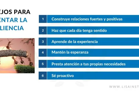 Hormigas trabajando juntas para cruzar un obstáculo, un ejemplo visual del resiliencia significado: superar desafíos con esfuerzo colectivo y determinación.