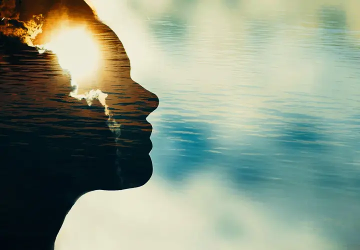 Silueta de perfil de una persona con un atardecer sobre el agua reflejado en su interior. Un momento para reflexionar, no discutir.