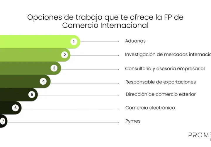 Opciones de trabajo en comercio internacional: aduanas, investigación de mercados, consultoría, exportaciones, comercio exterior, e-commerce y pymes.