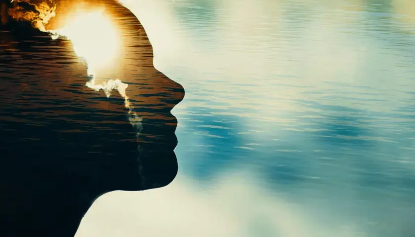 Silueta de perfil de una persona con un atardecer sobre el agua reflejado en su interior. Un momento para reflexionar, no discutir.