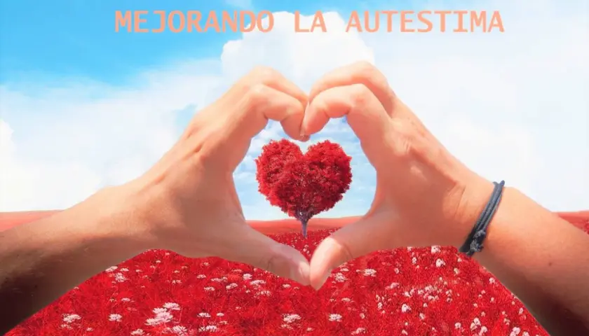 Manos formando un corazón, árbol en forma de corazón, campo rojo. Ideas para actividades para trabajar el autoconcepto en adultos.