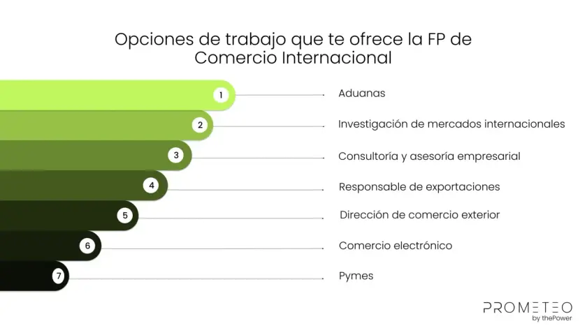 Opciones de trabajo en comercio internacional: aduanas, investigación de mercados, consultoría, exportaciones, comercio exterior, e-commerce y pymes.