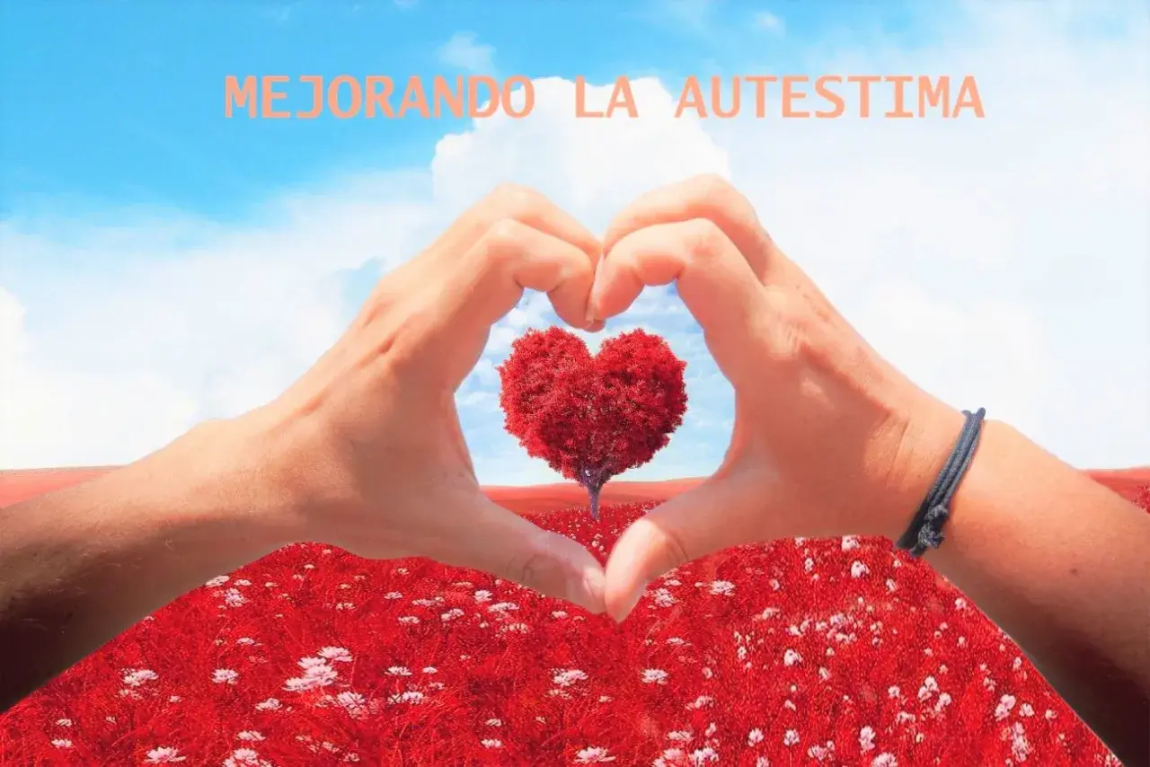 Manos formando un corazón, árbol en forma de corazón, campo rojo. Ideas para actividades para trabajar el autoconcepto en adultos.