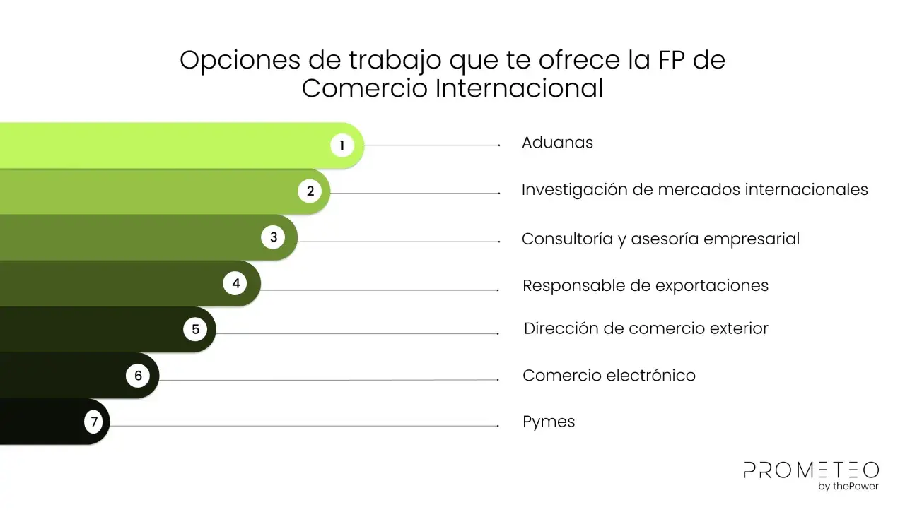 Opciones de trabajo en comercio internacional: aduanas, investigación de mercados, consultoría, exportaciones, comercio exterior, e-commerce y pymes.